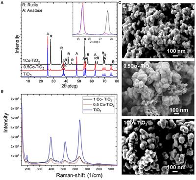 Synthesis of Co3+ Doped TiO2 by Co-precipitation Route and Its Gas Sensing Properties